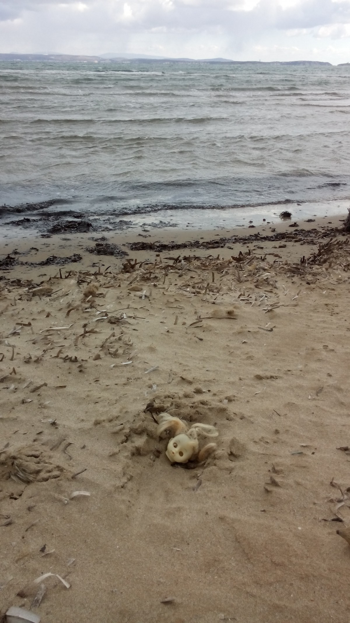 Ein Strandspaziergang
